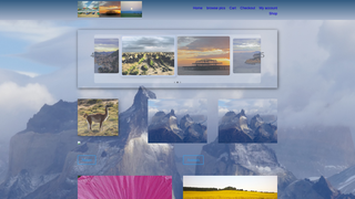 Thumbnail of vibrantpics.com