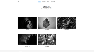 Thumbnail of luminalities.com