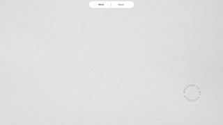 Thumbnail of aleksandra-portfolio.com
