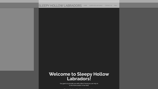 Thumbnail of sleepyhollowlabradors.com