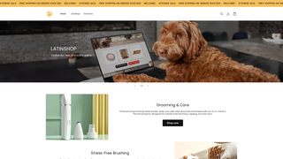 Thumbnail of enlatinshop.com