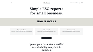 Thumbnail of snapesg.com