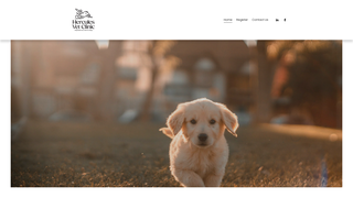 Thumbnail of herculesvets.com