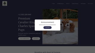 Thumbnail of royalcavalierpups.com