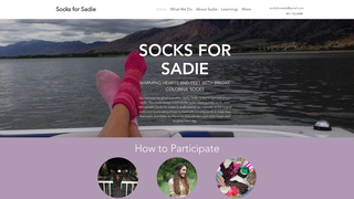 Thumbnail of socksforsadie.com