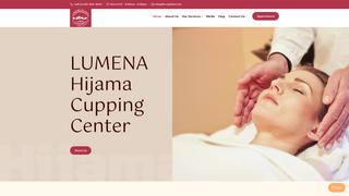 Thumbnail of lhccglobal.com