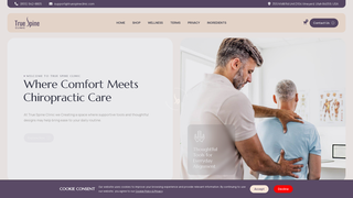 Thumbnail of truespineclinic.com