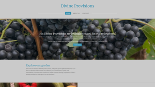 Thumbnail of divine-provisions.com