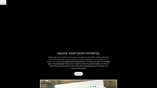 Thumbnail of bellefyinsights.org