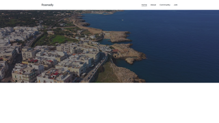Screenshot of roamadly.com