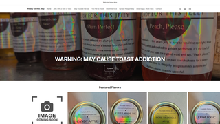 Thumbnail of readyforthisjellystore.com