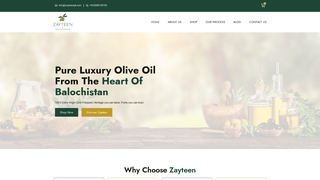 Thumbnail of zayteenpk.com