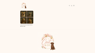 Thumbnail of caitnco.com