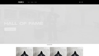 Thumbnail of astoraclo.com
