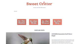 Thumbnail of sweetcritter.com