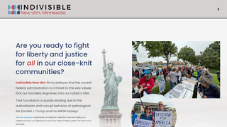 Thumbnail of indivisiblenewulm.com