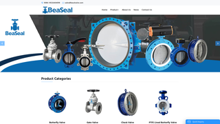 Thumbnail of bsealvalve.com
