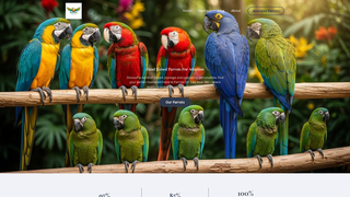 Thumbnail of parrotsforsalenearme.com