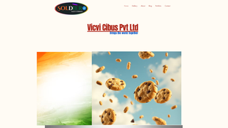 Thumbnail of vicvicibus.com