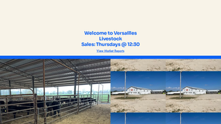 Thumbnail of versailleslivestockauction.com