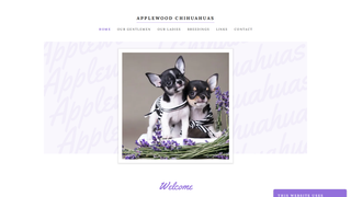 Thumbnail of applewoodchis.com