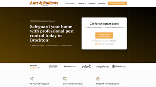 Thumbnail of antsrodentsbrockton.com