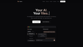 Screenshot of copana.ai