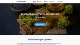 Thumbnail of superimportexport.com