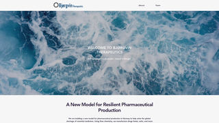 Thumbnail of bjorgvintherapeutics.com