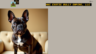 Thumbnail of exoticbullyempire.com