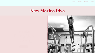 Thumbnail of nmdive.com