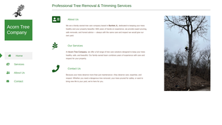 Thumbnail of acorn-tree.com