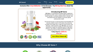 Thumbnail of zone-bp.com