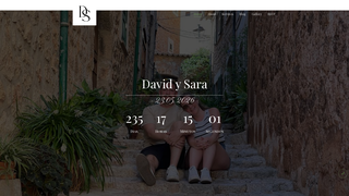 Thumbnail of davidysara.com