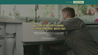 Thumbnail of propipeplumbingllc.com