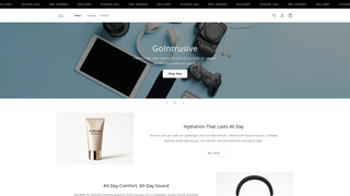 Thumbnail of gointrusive.com