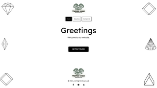 Thumbnail of triplemnproperties.com