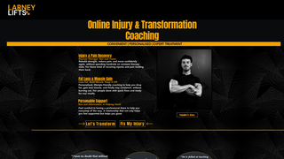 Thumbnail of larneylifts.com