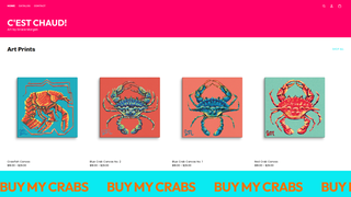 Thumbnail of cestchaudstudio.com