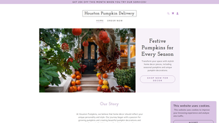 Thumbnail of htxpumpkins.com