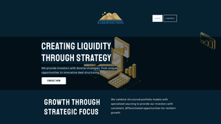 Thumbnail of illiquidsolutions.com