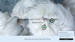 Thumbnail of mikittens.com