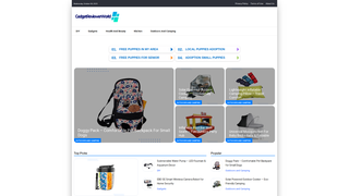 Thumbnail of gadgetreviewerworld.com