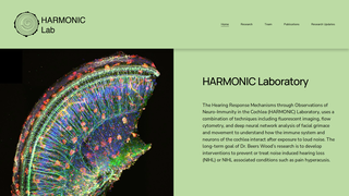 Thumbnail of harmoniclabvumc.com