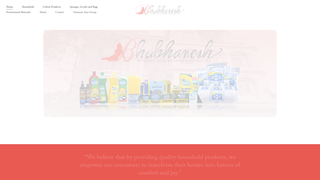 Thumbnail of bhubhaneshibvi.com