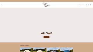 Thumbnail of chasincountryshop.com