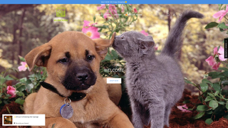 Thumbnail of silenceous.com