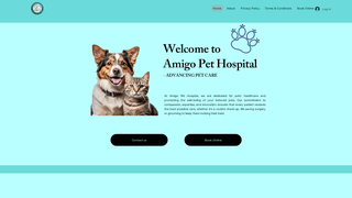 Thumbnail of amigopethospital.com