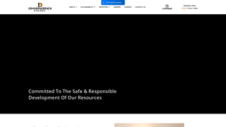 Thumbnail of diamond-backenergy.com