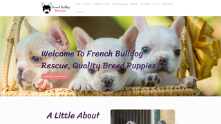 Thumbnail of frenchbulldog-rescue.com